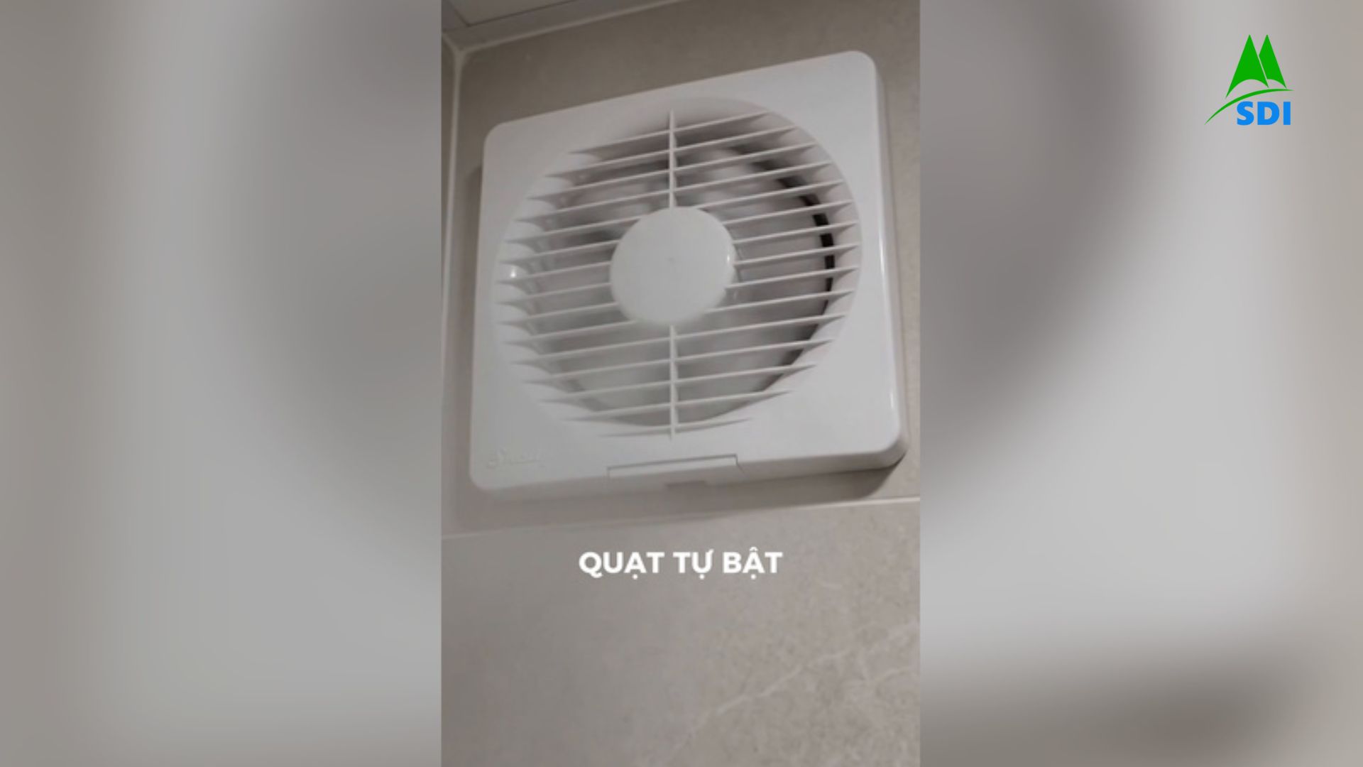 Vì Sao Phòng Tắm Vẫn Ẩm Mốc Dù Đã Dùng Quạt Hút
